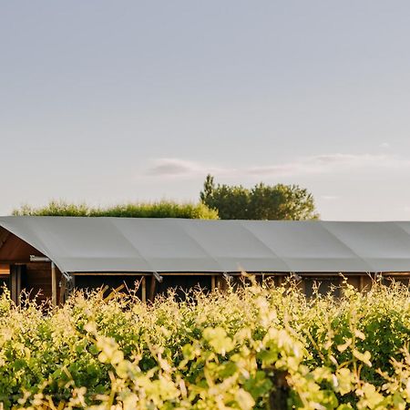 Villas & Vines Glamping เฮสติงส์ ภายนอก รูปภาพ