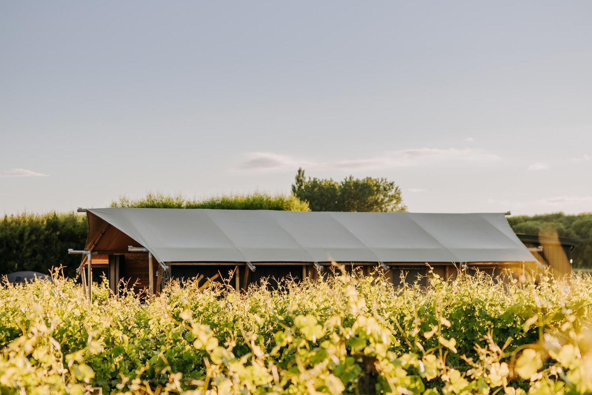 Villas & Vines Glamping เฮสติงส์ ภายนอก รูปภาพ