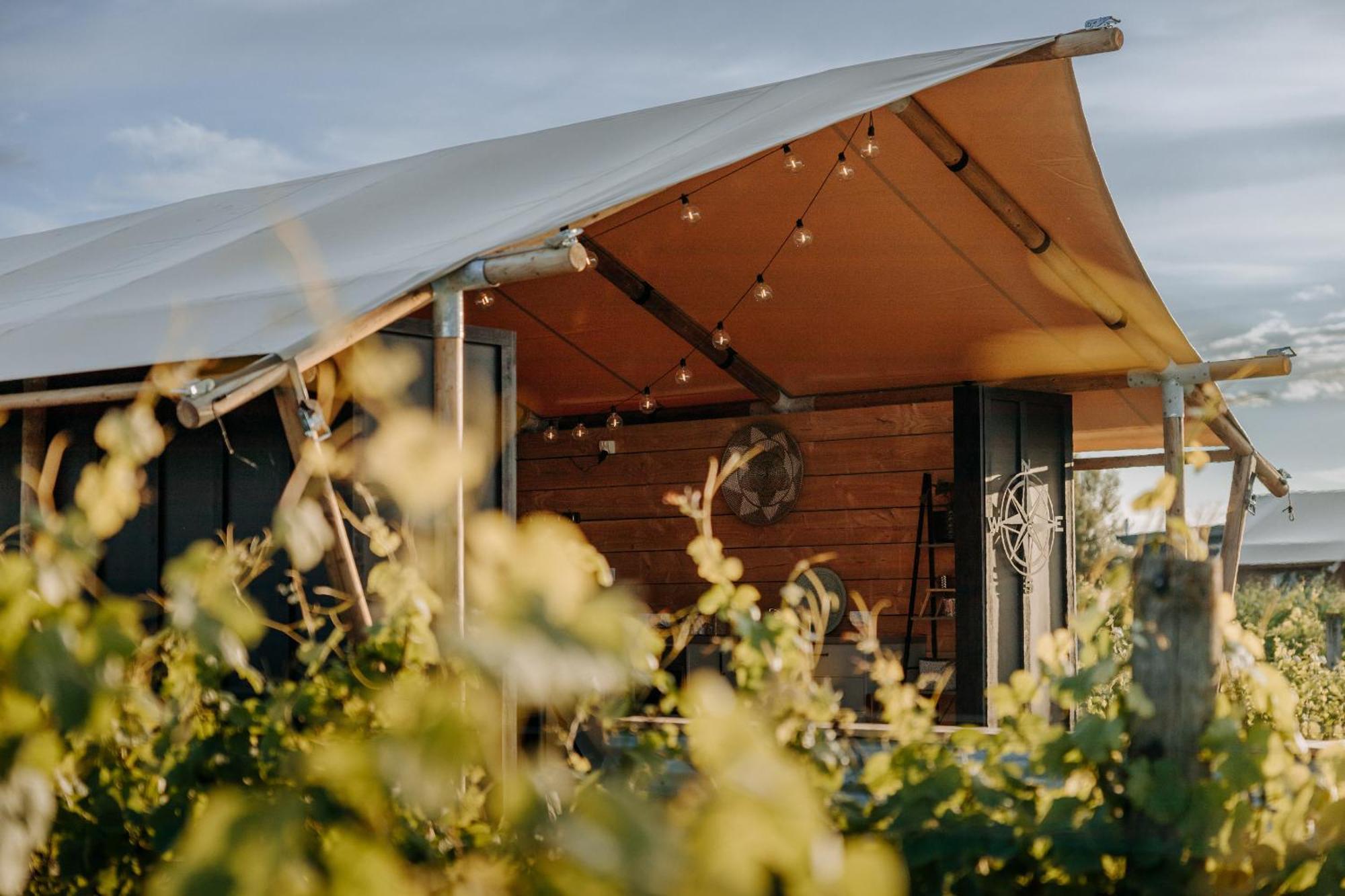 Villas & Vines Glamping เฮสติงส์ ภายนอก รูปภาพ