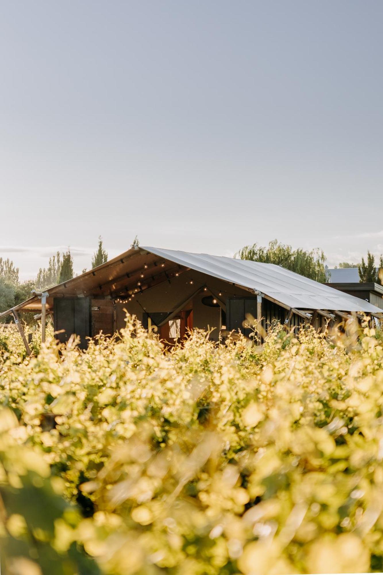 Villas & Vines Glamping เฮสติงส์ ภายนอก รูปภาพ